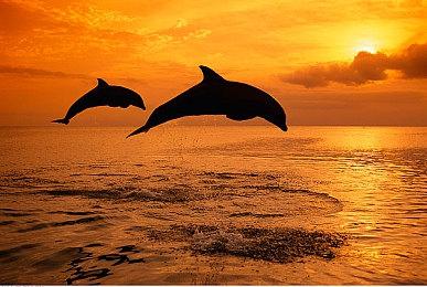 无限尸爆！《暗黑4》BETA死灵法师无敌了